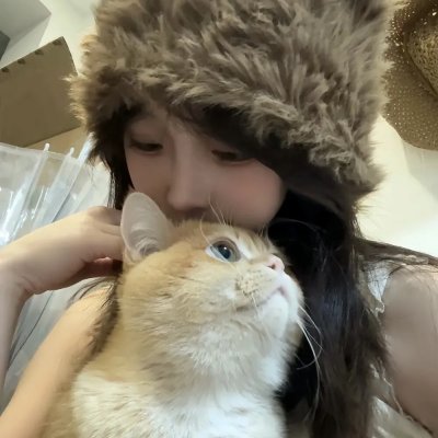 猫咪情缘